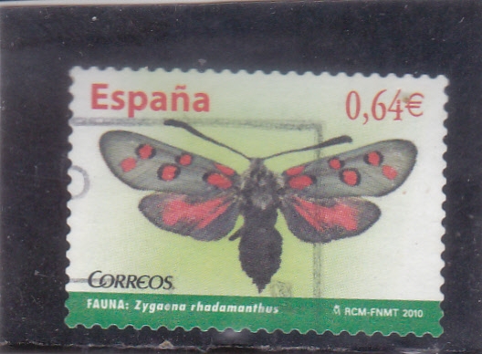  Algarve Burnet (Zygaena rhadamanthus) (44)