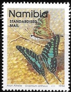 mariposas