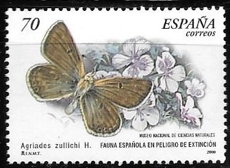 mariposas