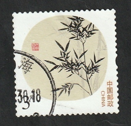 5063 - Plantas