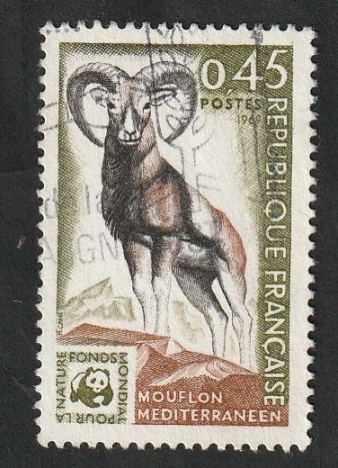 1613 - Fondo mundial para la Naturaleza, mouflon mediterráneo