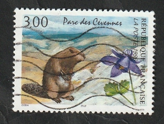 2997 - Parque Cévennes, Marmota