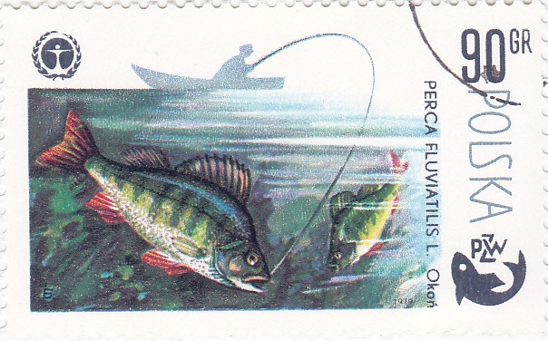 pesca fluvial- PZW