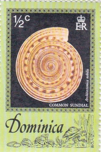 common sundial