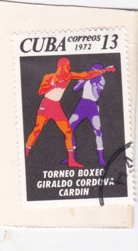 Torneo Boxéo GIRALDO CORDOVA CARDIN