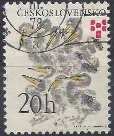 1975 - Año internacional de la infancia, Pelícano (Pelecanus sp.) de Nikita Charushin