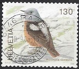 2008 - roquero rojo (Monticola saxatilis) A