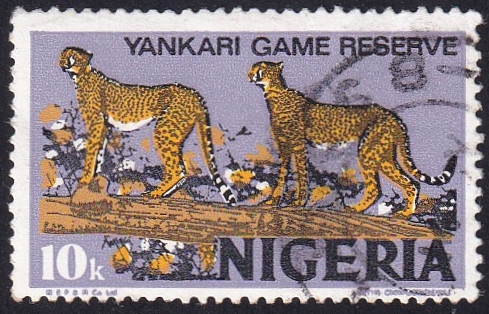 Reserva Animal Yankari
