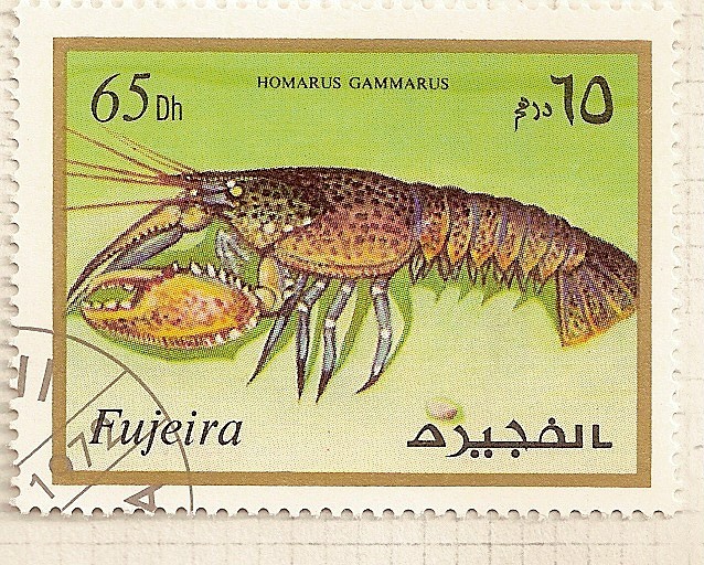 Fujeira. Criaturas marinas. Homarus Gammarus.