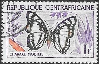 mariposas