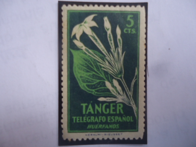 Colnect:ES-TNG 1948-02- Tánger, Telégrafo Español -Huérfanos-Pais:Cenicientas-Serie:Tánger.