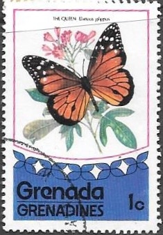 mariposas