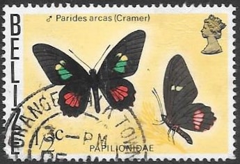 mariposas