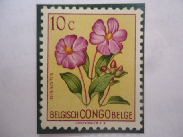 Congo Belga - Dissotis - Disotis Magnifíca- Serie: Flores.