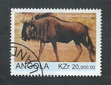 Bufalo