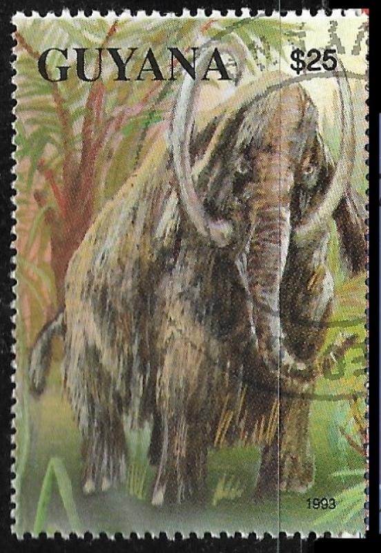 Animales - Mammuthus sp.