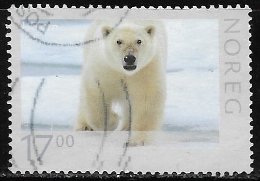 Animales - Oso Polar