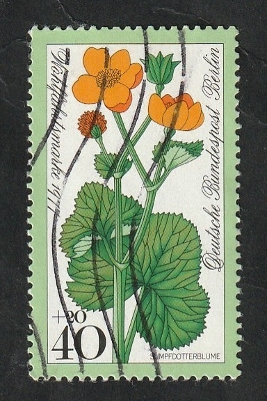 Berlín - 519 - Flor