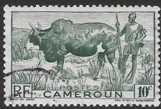 CAMERUN