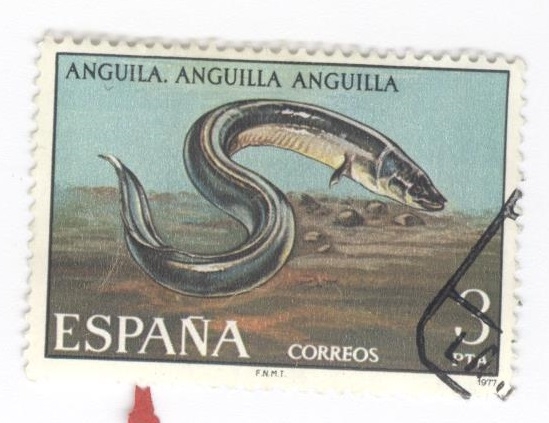 Edifil 2405. Fauna hispánica. Anguila