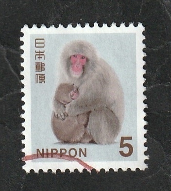 6926 - Macaco japonés