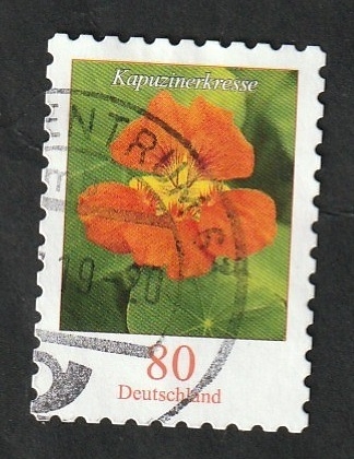 3255 - Flor, Tropaeolum majus