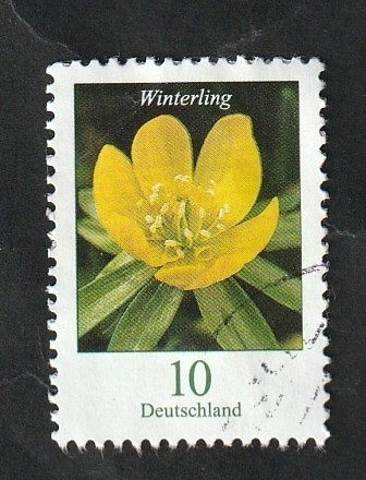 3099 - Flor Winterling