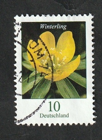 3099 - Flor Winterling