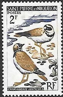aves