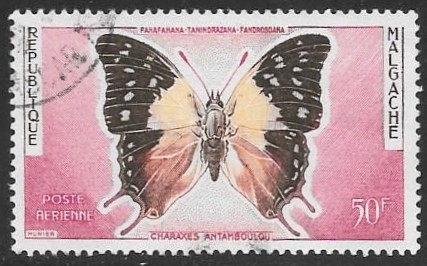 mariposas