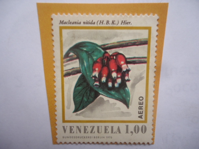 Especie: Macleania Nítida (H.B.K.) Hier. - serie: Flora de Venezuela