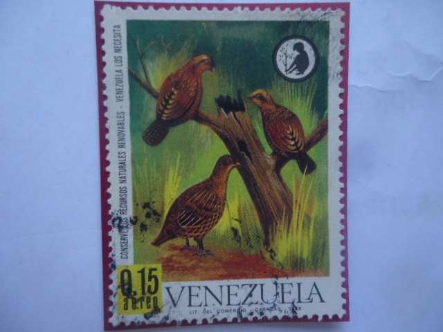 Codorniz (Odontophorus gujanensis)  Serie:Conserve los Recursos Naturales  Renovables Venezuela los 