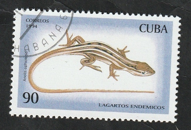 3416 - Lagarto