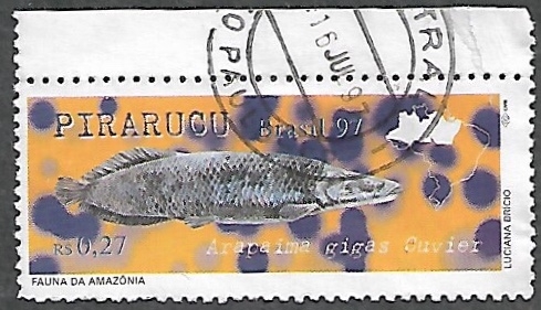 Pirarucu (Arapaima gigas Cuvier)