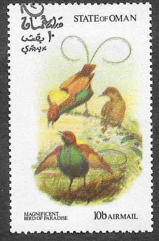 (C) 03-6 - Aves del Paraiso
