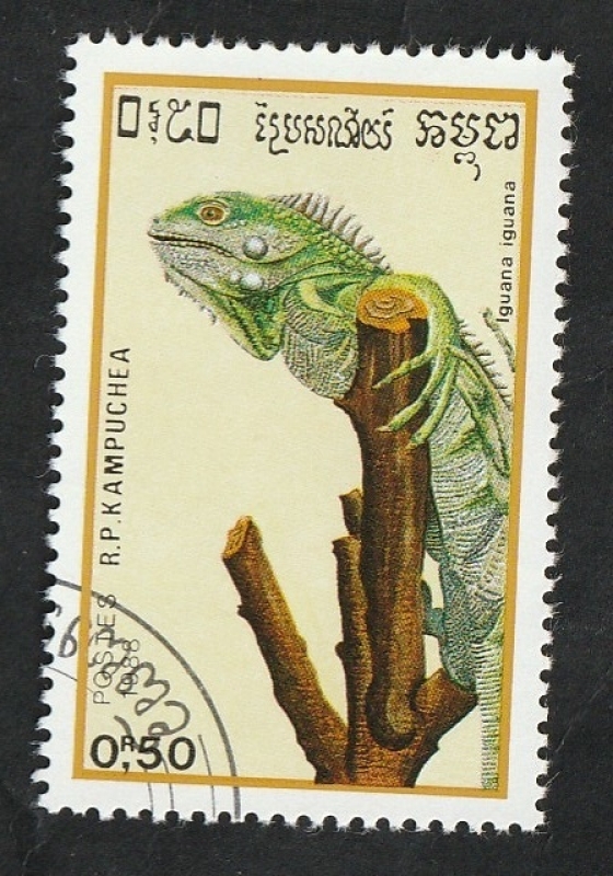 845 - Reptil, Iguana