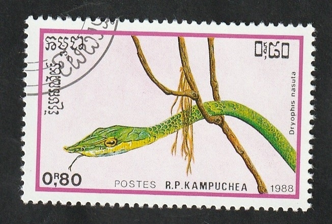 846 - Reptil, Dryophis nasuta