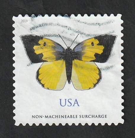 5184 - Mariposa