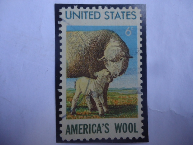 American´s Wool - Lana Americana - Serie: Industria de Lana Americana -Ovejas y Corderos (Ovis ammon