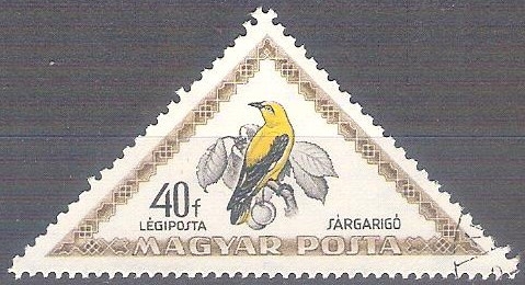 sargarigo RESERVADO