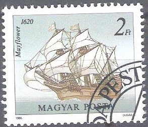 mayflower Y3167