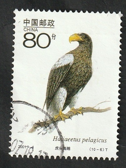 3880 - Fauna proteguida, Haliaeetus pelagicus