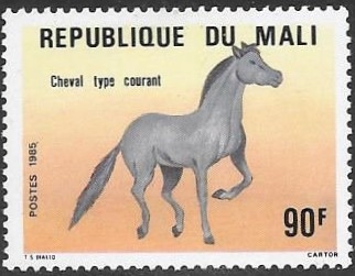 caballos