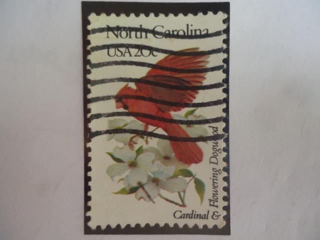 Nord Carolina - Cardinal and Flowering Dogwood-Serie: Aves Estatales y Flores