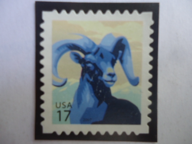 Bighern Sheep (Ovis Canadensis) - Serie:Fauna 1960