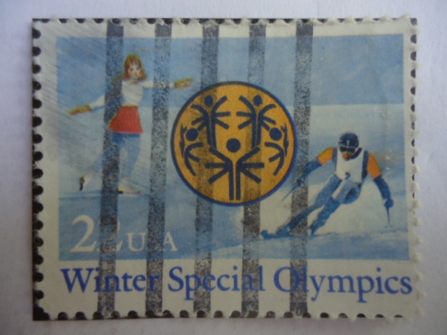 Winter Special Olympics-1985--Olimpiadas Especiales de Invierno-Skies sobre Hielo-Emblema 
