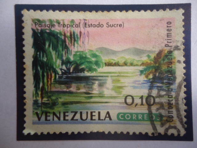 Paisaje Tropical - Estado Sucre - Serie: Conozca a Venezuela Primero.