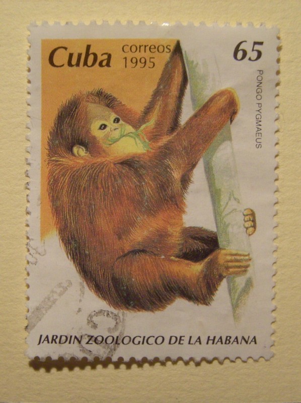 Jardín Zoologico de la Habana