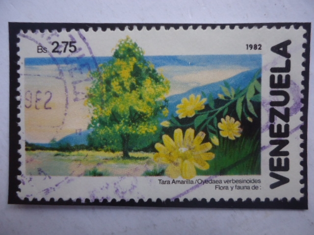 Tara Amarilla (Oyedaea verbesinoides) - Serie: Flora y Fauna 1982