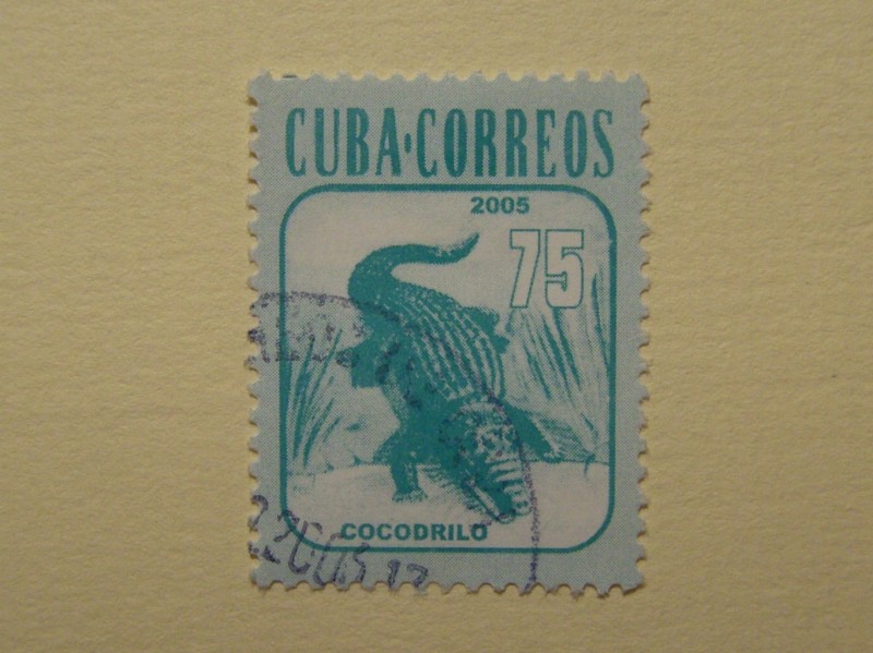 Cocodrilo